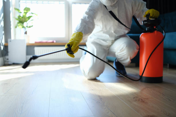 Reliable Biohazard contractor in Laurel, NY by Trauma Clean Pros